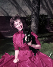 NATALIE WOOD POSING IN GARDEN WITH PET DOG PRINTS AND POSTERS 290407