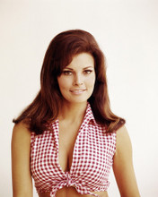 RAQUEL WELCH CUT OFF DAISY DUKE STYLE TANK TOP BUSTY SEXY PIN UP PRINTS AND POSTERS 290415