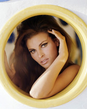 RAQUEL WELCH SEXY IMAGE LOOKING OUT OF PORT HOLE PRINTS AND POSTERS 290417
