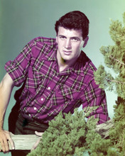 ROCK HUDSON CHECK SHIRT BY TREE STUDIO PUBLICITY SHOT RARE 1950'S PRINTS AND POSTERS 290479