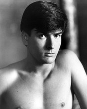 CHARLIE SHEEN BARECHESTED YOUNG HUNK PORTRAIT PRINTS AND POSTERS 199204