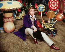 GENE WILDER PRINTS AND POSTERS 291089