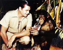 JOHNNY WEISSMULLER JUNGLE JIM WITH CHIMP DRINKING PRINTS AND POSTERS 291230