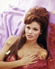 RAQUEL WELCH SEXY BARESHOULDERED 60'S GLAMOUR PHOTO SHOOT BEAUTIFUL PRINTS AND POSTERS 290820