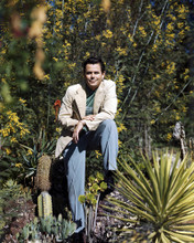 GLENN FORD IN GARDEN BY CACTUS PLANTS VINTAGE SHOOT PRINTS AND POSTERS 290869