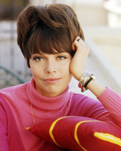 BARBARA FELDON GET SMART LOVELY POSE IN PINK SWEATER PRINTS AND POSTERS 291030