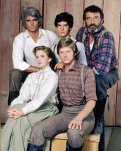 MICHAEL LANDON VICTOR FRENCH MELISSA GILBERT LITTLE HOUSE ON THE PRAIRIE POSTER PRINTS AND POSTERS 291522