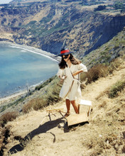 CLAUDIA CARDINALE ON CLIFF TOP MALIBU BEACH DON'T MAKE WAVES PRINTS AND POSTERS 291545