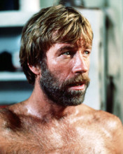 CHUCK NORRIS BARECHESTED CLASSIC PORTRAIT PRINTS AND POSTERS 291139