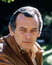 DAVID JANSSEN HARRY O GREAT PORTRAIT IN BROWN LEATHER JACKET PRINTS AND POSTERS 291164