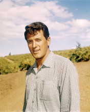 ROCK HUDSON IN CHECK SHIRT OUTDOOR PORTRAIT POSE 1950'S PRINTS AND POSTERS 291176