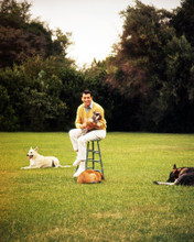 ROCK HUDSON RARE IMAGE POSING WITH HIS DOGS IN GARDEN PRINTS AND POSTERS 291192