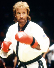 CHUCK NORRIS PRINTS AND POSTERS 291196