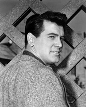 ROCK HUDSON SPORTS JACKET PORTRAIT BY FENCE PRINTS AND POSTERS 199557