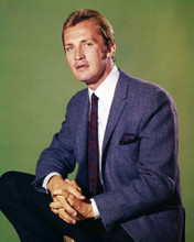 ROY THINNES PRINTS AND POSTERS 291304