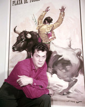 TONY CURTIS PRINTS AND POSTERS 291429