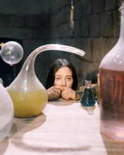 OLIVIA HUSSEY ROMEO AND JULIET LOOKING AT BEAKERS PRINTS AND POSTERS 291333