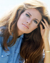 RAQUEL WELCH DENIM SHIRT GLAMOUR POSE CIRCA 1970 PRINTS AND POSTERS 291375