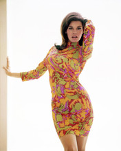RAQUEL WELCH STUNNING COLORFUL DRESS STUDIO SHOOT PRINTS AND POSTERS 291401