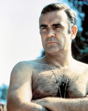 SEAN CONNERY PRINTS AND POSTERS 291447