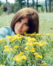 STEFANIE POWERS PRINTS AND POSTERS 291466