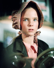 LITTLE HOUSE ON THE PRAIRIE PRINTS AND POSTERS 291785