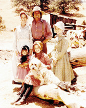 LITTLE HOUSE ON THE PRAIRIE PRINTS AND POSTERS 291788
