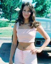 JACLYN SMITH CHARLIE'S ANGELS BARE MIDRIFF BEAUTIFUL 1970'S RARE POS PRINTS AND POSTERS 292378