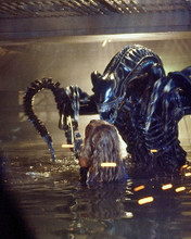 Aliens Posters and Photos 292008 | Movie Store