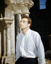 MONTGOMERY CLIFT PRINTS AND POSTERS 292059