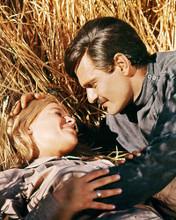 JULIE CHRISTIE, OMAR SHARIF DOCTOR ZHIVAGO POSTER ROMATIC POSE PRINTS AND POSTERS 292062