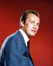 ROY THINNES PRINTS AND POSTERS 292086