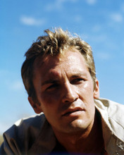 ROY THINNES PRINTS AND POSTERS 292114