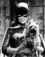 YVONNE CRAIG BATMAN IN BATGIRL COSTUME WITH YORKIE YORKSHIRE TERRIER PRINTS AND POSTERS 199969