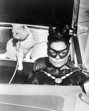 EARTHA KITT BATMAN DRIVING CAR WITH CAT BEHIND IN COSTUME MASK PRINTS AND POSTERS 199981