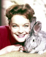 ROMY SCHNEIDER PRINTS AND POSTERS 292203