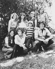 Picture of Eight Is Enough