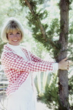 Picture of Doris Day