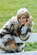 Picture of Sue Lyon