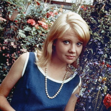 Picture of Hayley Mills