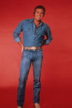 Picture of Lee Majors in The Fall Guy