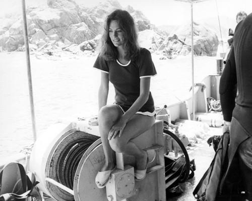 Picture of Jacqueline Bisset in The Deep