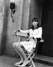 Barbara Feldon Photo and Poster Gallery Movie Store