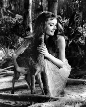 Picture of Audrey Hepburn in Green Mansions