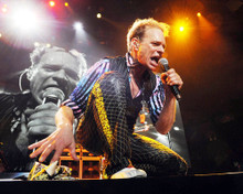 Picture of David Lee Roth