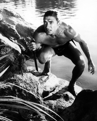 Picture of Jock Mahoney in Tarzan's Three Challenges