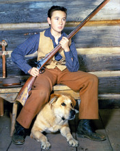 Picture of Tommy Kirk in Old Yeller