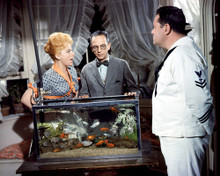 Picture of Don Knotts in The Incredible Mr. Limpet
