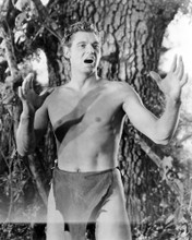 Picture of Johnny Weissmuller in Tarzan and His Mate