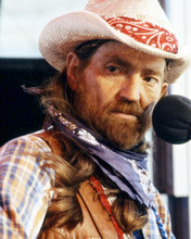Picture of Willie Nelson